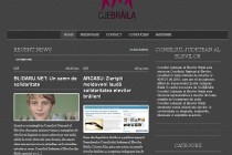 Consiliul Judetean al Elevilor Braila prezent pe internet
