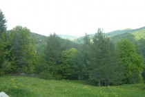 Proilavia va invita în minunata zona Jitia-Vintileasca din judetul Vrancea