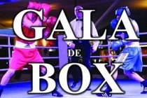 Gala de box la Movila Miresii