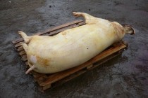 APIA: Deschidere depozitare privată pentru carnea de porc
