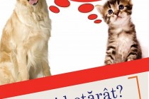 Campanie de sterilizare a câinilor organizata în Braila în perioada 24-25 aprilie 2015