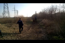 Se fură material lemnos și din perdelele de protecție