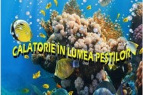 Foto-expoziția 