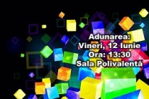 ”Parada liceelor” brailene, 12 iunie 2015
