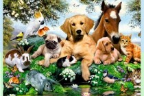 Atelierul „Să descoperim lumea animalelor” la Biblioteca ”Panait Istrati” Brăila