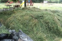 Jandarmii Braileni au ecologizat parcul de pe strada Industriei 
