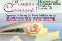 „Limba noastră-i o comoară!”, atelier de scriere corectă și vocabular, la Biblioteca Județeană Brăila