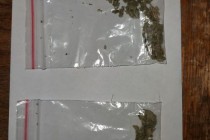 Jandarmi brăileni au prins un tânăr care avea asupra lui substanțe vegetale. Nu știu cum au ajuns la mine în portofel! s-a scuzat acesta 