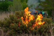 APIA avertizează fermierii asupra interzicerii arderii miriștilor și a vegetației pajiștilor permanente