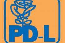 PDL vrea moţiune de cenzură dar speră la sprijinul liberalilor
