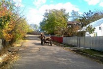 Gropeni | Se plimba cu A.T.V.-ul fără acte plin cu scrumbie