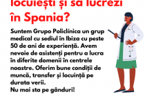 Job | Asistenti in Spania 