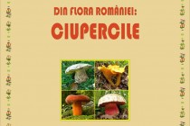 Foto-expoziția ”Din flora României: Ciupercile” la Muzeul Brăilei