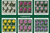 Patrimoniul floristic al României, o nouă emisiune de mărci poștale