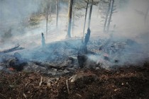 Romsilva | Risc de extindere a incendiilor provocate de arderea miriștilor