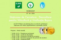 Workshopul „Aplicarea unor măsuri agrofitotehnice în plantaţiile viticole” organizat de SCDVV Bujoru a consolidat colaborarea între cercetare, educație și industrie în domeniul viticulturii