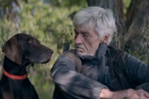 Ce filme se pot vedea la Festivalul Filmului European la Brăila