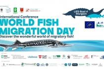 Conferința internațională World Fish Migration Day de la Galați un succes in promovarea peștilor migratori