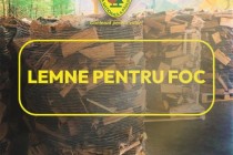 Romsilva aduce vești bune pentru iarnă: 2 milioane de metri cubi de lemn de foc pentru populație, la prețuri înghețate