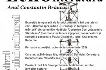 Brăila: Ateliere interactive și povești pentru copii la Hub-ul „Etnoliteratura” din Casa Alexiu