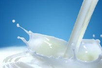 APIA: Plăți pentru ajutorul excepțional destinat producătorilor de lapte
