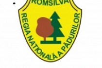 Romsilva va efectua verificări privind tăierile neautorizate în fondul forestier de stat