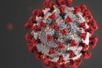 Combatem coronavirusul cu antivirusul