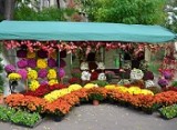 Festivalul Florilor revine în Municipiul Brăila pentru două zile de bucurie și culoare în Parcul Monument