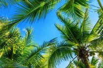 Costa Cruises | Itinerarii paradisiace în sesozul 2021-2022 