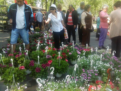 Simfonia Florilor