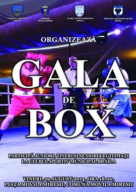 gala box Movila Miresii
