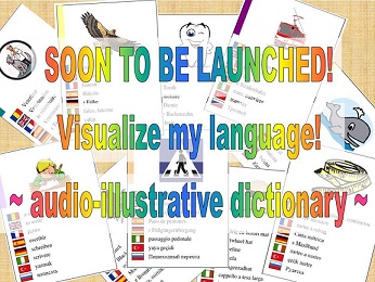 afis lansare dictionar multilingvistic