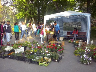 Festivalul Florilor