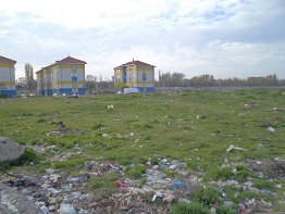 campanie ecologizare