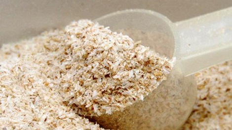 fibre