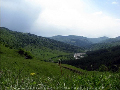 zona Jitia-Vintileasca, Vrancea