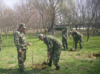 plantare pomi unitati militare