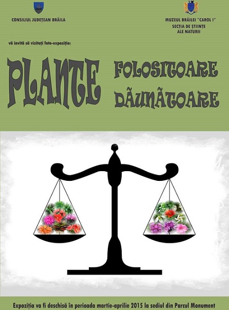 fotoexpozitie plante
