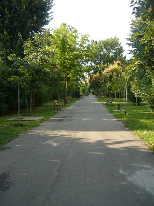 Brăila 5