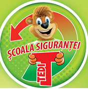 proiect siguranta Tedi