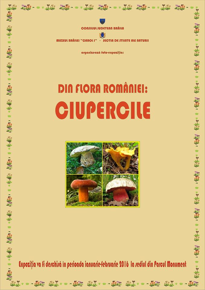 Ciupercile,foto-expozitie