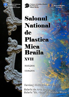 afis Salon plastica mica