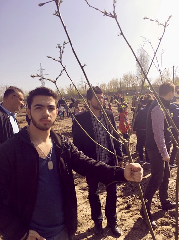 activitate plantat puieti salcam