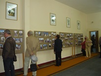 expozitie
