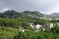 proilavia pe muntii macinului