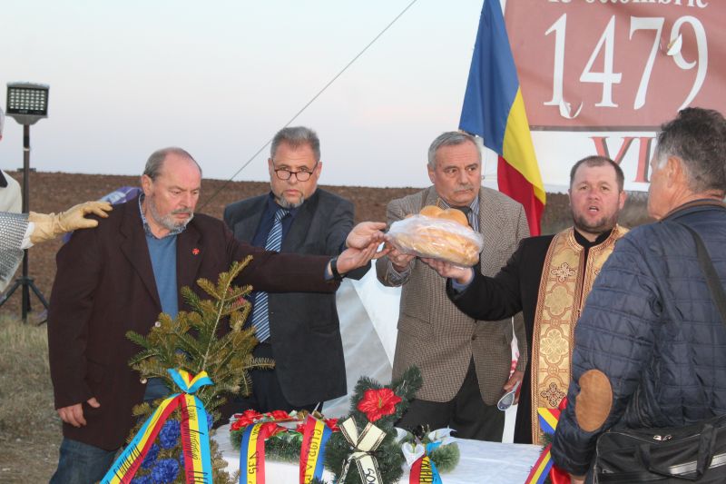 centenar campul painii