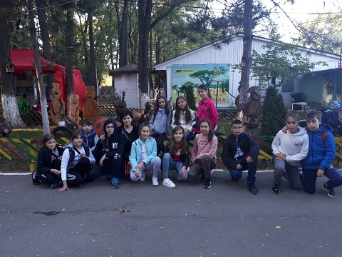 activ.gradina zoologica