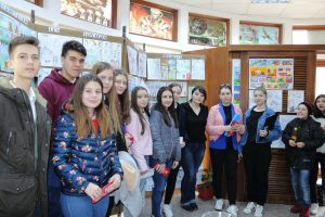 concurs benzi desenate macin 2019