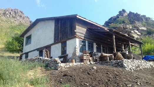 film in multii macinului 2019