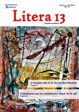 litera 13 nr 20 din 2019